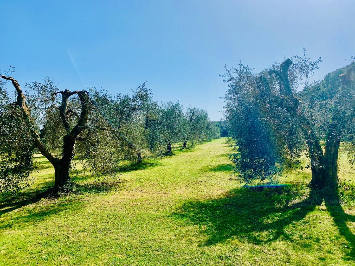 Апартаменти Il Borghetto Di Анседонія Екстер'єр фото